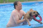 Honden zwemmen (15)
